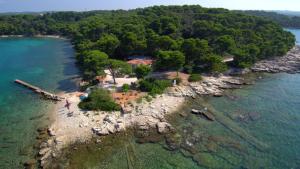 an aerial view of an island in the water at Apartments Ana Wellness in Rovinj