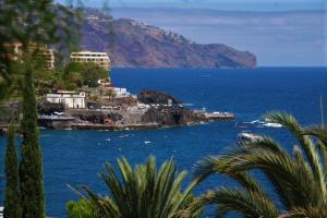 a view of a large body of water with a mountain at Vila Calaça in Funchal
