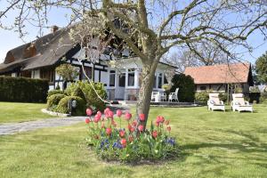 Ein Haus mit einem Haufen Tulpen im Hof. in der Unterkunft Fachwerkhaus in Ahrenshoop