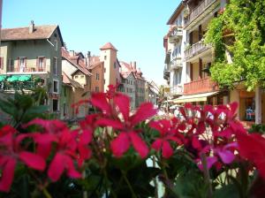 un grupo de flores rosas frente a los edificios en Soleil Bleu 2 Etoiles, en Talloires