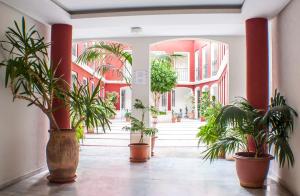 En have udenfor Conde Ibarra Central