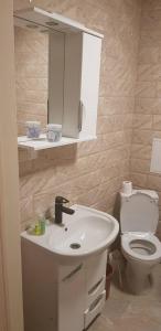 ウージュホロドにあるNEW апартаменты в центреのバスルーム(白い洗面台、トイレ付)