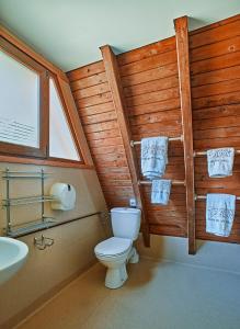 ジキにあるDomki Czarny Grońのバスルーム(トイレ、洗面台付)