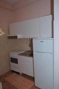 Kuchyň nebo kuchyňský kout v ubytování Ansise Guest House