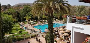a view of the pool at a resort with a palm tree at Hotel Tildi Hotel & Spa in Agadir