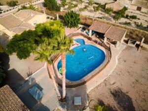 einen Blick über einen Pool mit Palmen in der Unterkunft Rural Romana in La Romana
