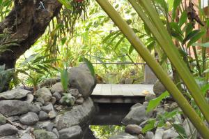 Ein Garten an der Unterkunft Grand Mega Resort & Spa