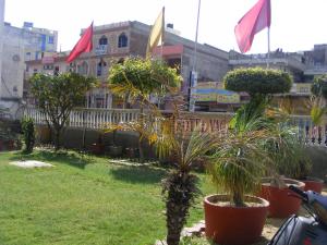 a yard with potted plants in front of a building at Hotel Vacation in Jaipur