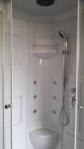 a white bathroom with a shower and a toilet at Wohnung für Monteure und Messebauer in Algermissen