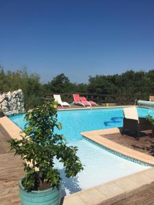 a blue swimming pool with a potted plant next to it at La Bastide des Cades in Aiguines