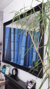 A television and/or entertainment center at Bamboo Guesthouse 