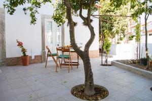a tree in a courtyard with a table and chairs at Casa dos Avós in Villa Nogueira