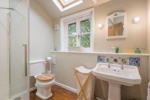 a bathroom with a sink and a toilet and a shower at The Domek in Ashwell