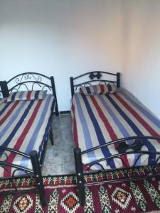 Ένα ή περισσότερα κρεβάτια σε δωμάτιο στο Climbers House in Wadi Rum