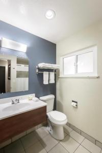 a bathroom with a toilet and a sink and a mirror at Thunderbird Lodge in Redding