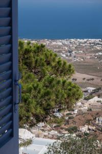 Gallery image of DeltaMi Santorini in Pirgos