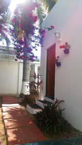 ein weißes Gebäude mit einer Tür und einem Baum mit Blumen in der Unterkunft Departamento Olivia - Mazatlan in Mazatlán