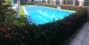 韋拉克魯斯的住宿－全球快捷酒店，鲜花庭院中的游泳池