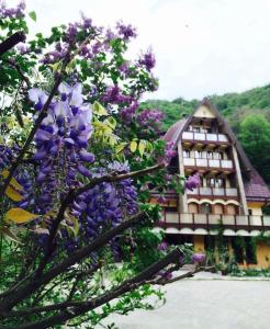 Gallery image of Pension Casa Vanatorilor in Băile Olăneşti