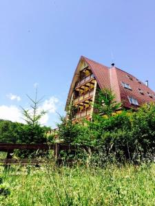 Foto da galeria de Pension Casa Vanatorilor em Băile Olăneşti