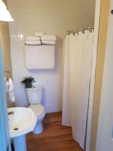 a bathroom with a toilet and a sink and a shower at Hellemsfield Inn & bed and breakfast in Kingsville