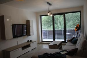 Televízia a/alebo spoločenská miestnosť v ubytovaní Rezidencia AMÉLIA - Apartmán SOFIA