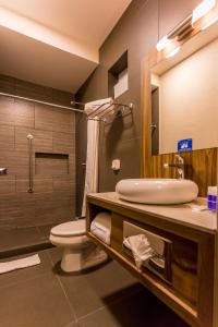 a bathroom with a sink and a toilet and a mirror at Hotel Panamerican in Puebla