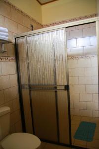 y baño con ducha y puerta de cristal. en Apart Hotel Acuarious de Luis, en Estelí