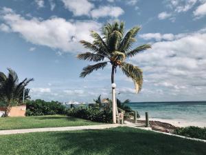 Photo de la galerie de l'établissement Flamingo Paradise Front by Cielo Maya, à Cancún