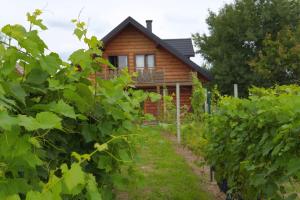 a wooden house in the middle of a vineyard at Dom Pachnacy Zywica in Bochnia