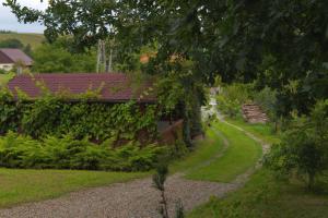 A garden outside Dom Pachnacy Zywica