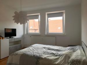 ein Schlafzimmer mit einem Bett und zwei Fenstern in der Unterkunft ProFair Private Apartments & Rooms City Centre - room agency in Hannover