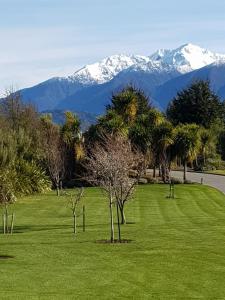 a field with palm trees and snow capped mountains at Murchison View Studio in Te Anau