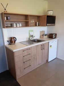 a small kitchen with a sink and a refrigerator at Murchison View Studio in Te Anau