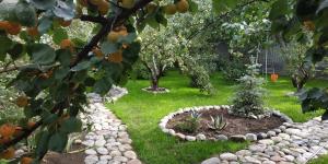 a garden with a flower bed in the grass at Evergreen Guesthouse in Karakol +13 photos