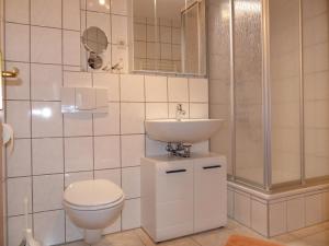 a bathroom with a toilet and a sink at Ferienwohnungen Jagdhaus 6 in Wieck