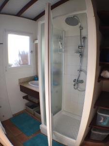 a bathroom with a shower and a sink at Villa des Amandiers in Les Anses-dʼArlets