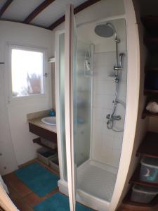 La salle de bains est pourvue d'une douche et d'un lavabo. dans l'établissement Villa des Amandiers, à Les Anses-d'Arlet