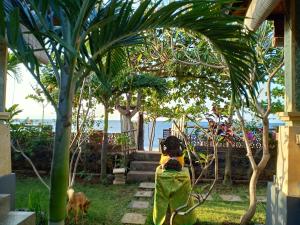a dog sitting on a fence in a yard at Solaluna Beach Homestay in Amed