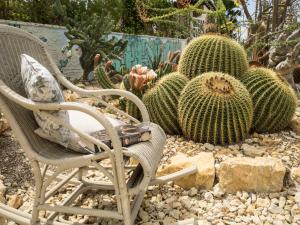 Fotografie z fotogalerie ubytování Garden Cactus v destinaci Villaggio Mose