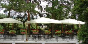 Zahrada ubytování Hotel Germisara