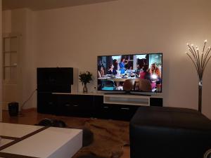 メスにあるGrand appartement en centre villeのリビングルーム(大画面薄型テレビ付)