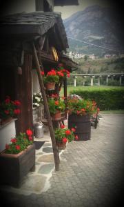 Nespecifikovaný výhled na hory nebo výhled na hory při pohledu z bed and breakfast