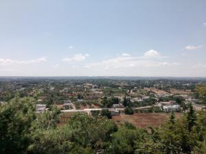 Galería fotográfica de Trullo in piena valle d'itria del 1800 en Cisternino