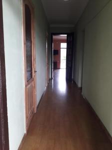 Fotografie z fotogalerie ubytování kobuleti bagrationi 40 v destinaci Kobuleti