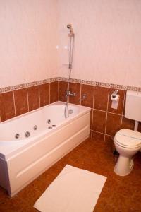 a bathroom with a bath tub and a toilet at Hotel Xemar in Arad