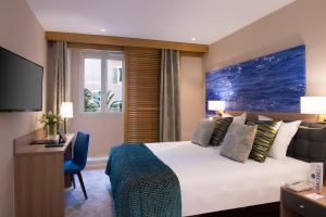 尼斯博里瓦奇酒店的一间配有床和书桌的酒店房间