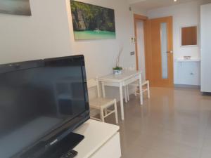 TV a/nebo společenská místnost v ubytování Vistamar Apartment Don Pablo By DLV