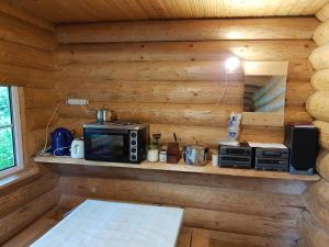 eine Küche mit einem Herd und einer Mikrowelle auf einem Regal in der Unterkunft Soomaa Water Camp in Jõesuu