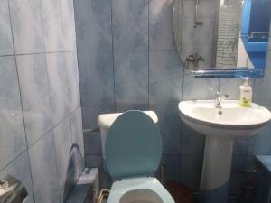 łazienka z toaletą i umywalką w obiekcie Erisia w mieście Horezu